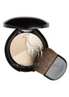 The Makeup Luminizing Color Powder
