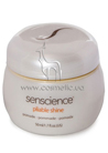 Pliable Shine Pomade