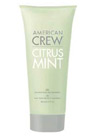 Citrus Mint Gel