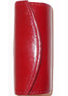 Caso per Rossetto 0702 red