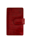 Vizitnitsa  0501 red