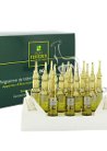 Forticea RF 80 Concentrated Hair Loss Treatment