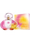 Incanto Dream Golden Edition