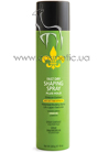 Fast Dry Shaping Spray