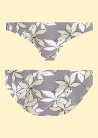 Orchid t 16