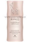 Уплотняющий лосьон для придания волосам объема с экстрактом бамбука Alterna Bamboo Abundant Volume Plumping Strand Expand small