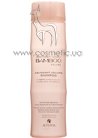 Шампунь для придания волосам объема с экстрактом бамбука Alterna Bamboo Abundant Volume Shampoo small