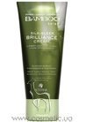 Разглаживающий крем для блеска Alterna Bamboo Luminous Shine Silk-Sleek Brilliance Cream small