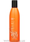 Кондиционер для придания блеска волосам Alterna Hemp Natural Strength Shine Conditioner small