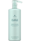 Укрепляющий шампунь «Нечто большее» Alterna My Hair My СANVAS More to Love Bodifying Shampoo small