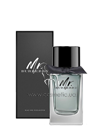 Туалетная вода Burberry Mr. Burberry small