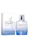 Туалетная вода Burberry Summer Men 2009 small