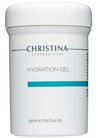 Гидрирующий гель для всех типов кожи Christina Hydration Gel small
