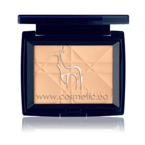 Компактная пудра Dior Diorskin Poudre Compacte Matte and Luminous Sheer Pressed Powder
