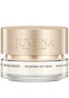 Питательный дневной крем для сухой и нормальной кожи Juvena Skin Rejuvenate Nourishing Day Cream small