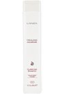 Шампунь глубокой очистки для окрашенных волос L'anza Healing ColorCare Clarifying Shampoo small