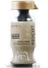 Ампулы для интенсивного восстановления сильно поврежденных волос L'Oreal Professionnel Absolut Repair Lipidium Power Repair small