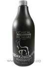 Мужской шампунь для непослушных волос L'Oreal Professionnel Homme Controle Shampoo small