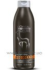 Мужской уплотняющий шампунь для укрепления волос L'Oreal Professionnel Homme Fiberboost Shampoo small
