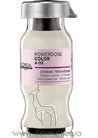 Концентрированная сыворотка для защиты цвета окрашенных волос L'Oreal Professionnel Powerdose Color A-OX small