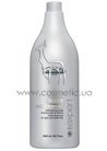 Шампунь для седых и обесцвеченных волос L'Oreal Professionnel Silver Shampoo small