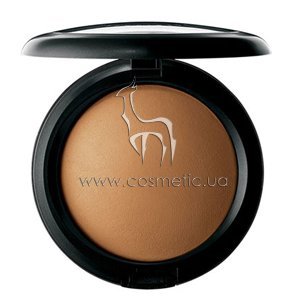Компактная пудра на основе природных минералов MAC Mineralize Skinfinish Natural