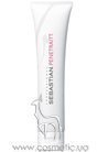 Восстанавливающая маска с протеинами Sebastian Professional Penetraitt Deep Strengthening and Repair Masque small