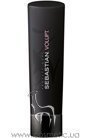 Шампунь для объема Sebastian Professional Volupt Shampoo small