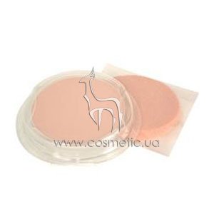Запасной блок Shiseido The Makeup Luminizing Color Powder Refill